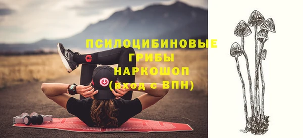 стафф Пересвет