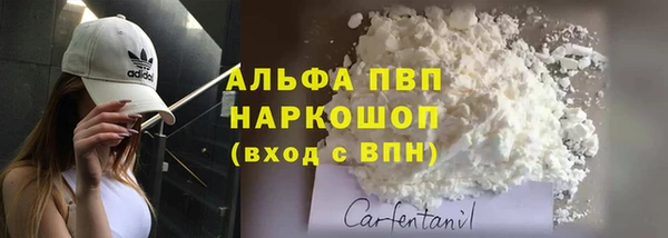 стафф Пересвет