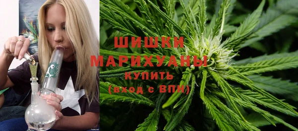 мет Пестово