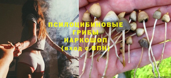 мескалин Переславль-Залесский