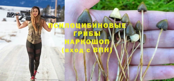 стафф Пересвет