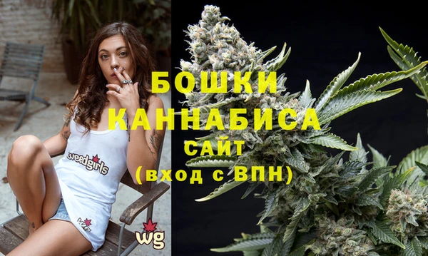 трава Гатчина
