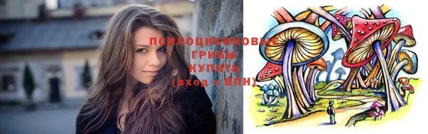 мет Пестово