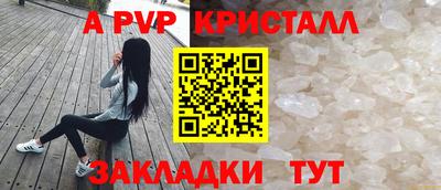 Альфа ПВП Кандалакша