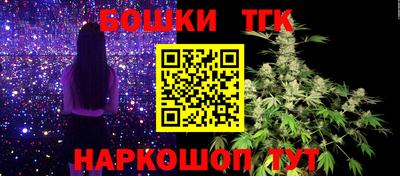 Альфа ПВП Кандалакша