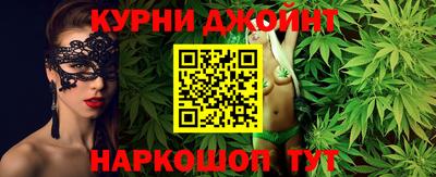 Альфа ПВП Кандалакша