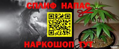Альфа ПВП Кандалакша