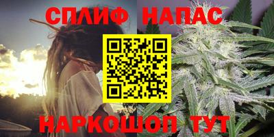стаф Канаш