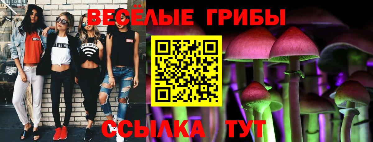 Псилоцибиновые грибы Psilocybine cubensis Пятигорск