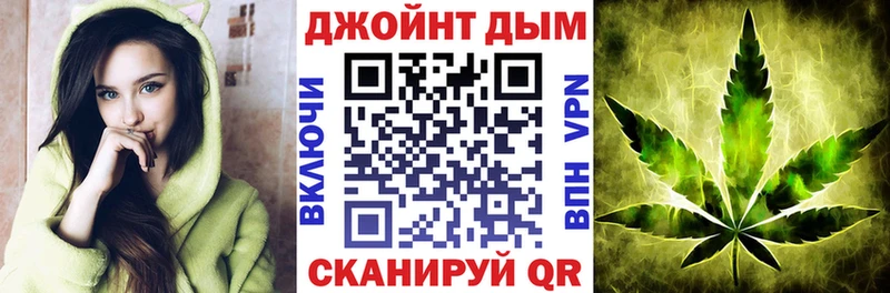 Канабис план  купить закладку  omg вход  Пятигорск 
